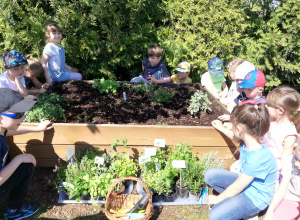Wiosenne prace pięciolatków w ogródku ziołowym